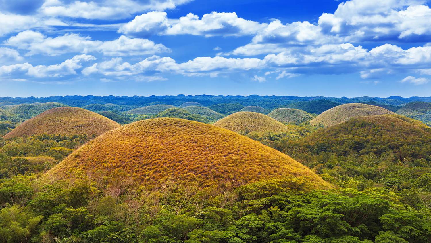 Chocolate-Hills-Filippine-2 (1)